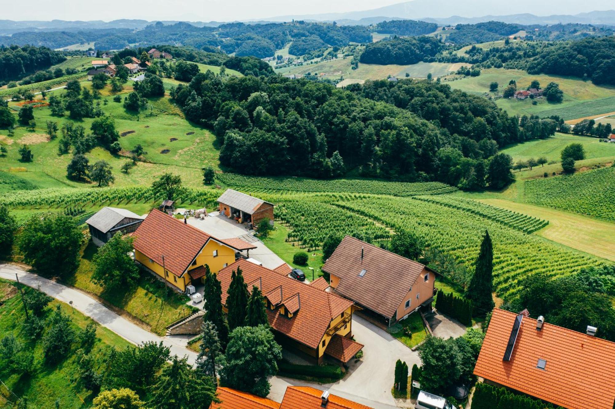 Wine & Tourism Bracko Bed and Breakfast Spodnji Jakobski Dol Eksteriør billede